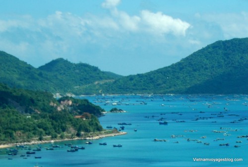 Vung Ro: A legendary and romantic bay - ảnh 2